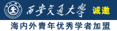 舔批批影视诚邀海内外青年优秀学者加盟西安交通大学